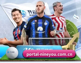 portal-nineyou.com.cn的故事